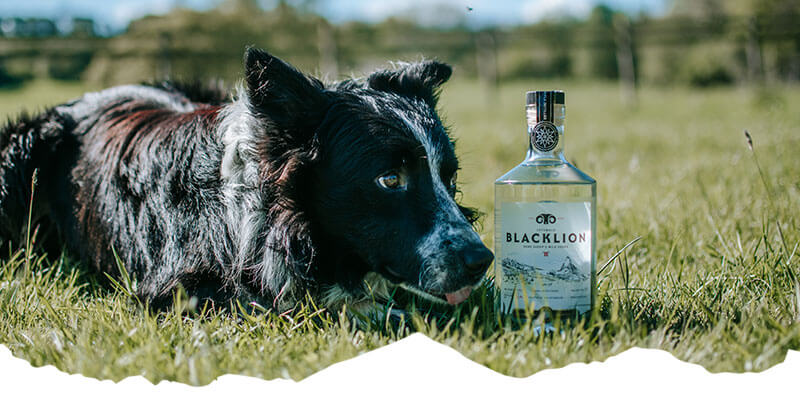 Black-Lion-Vodka-sheepdog-cocktail-mobile-first-banner-2