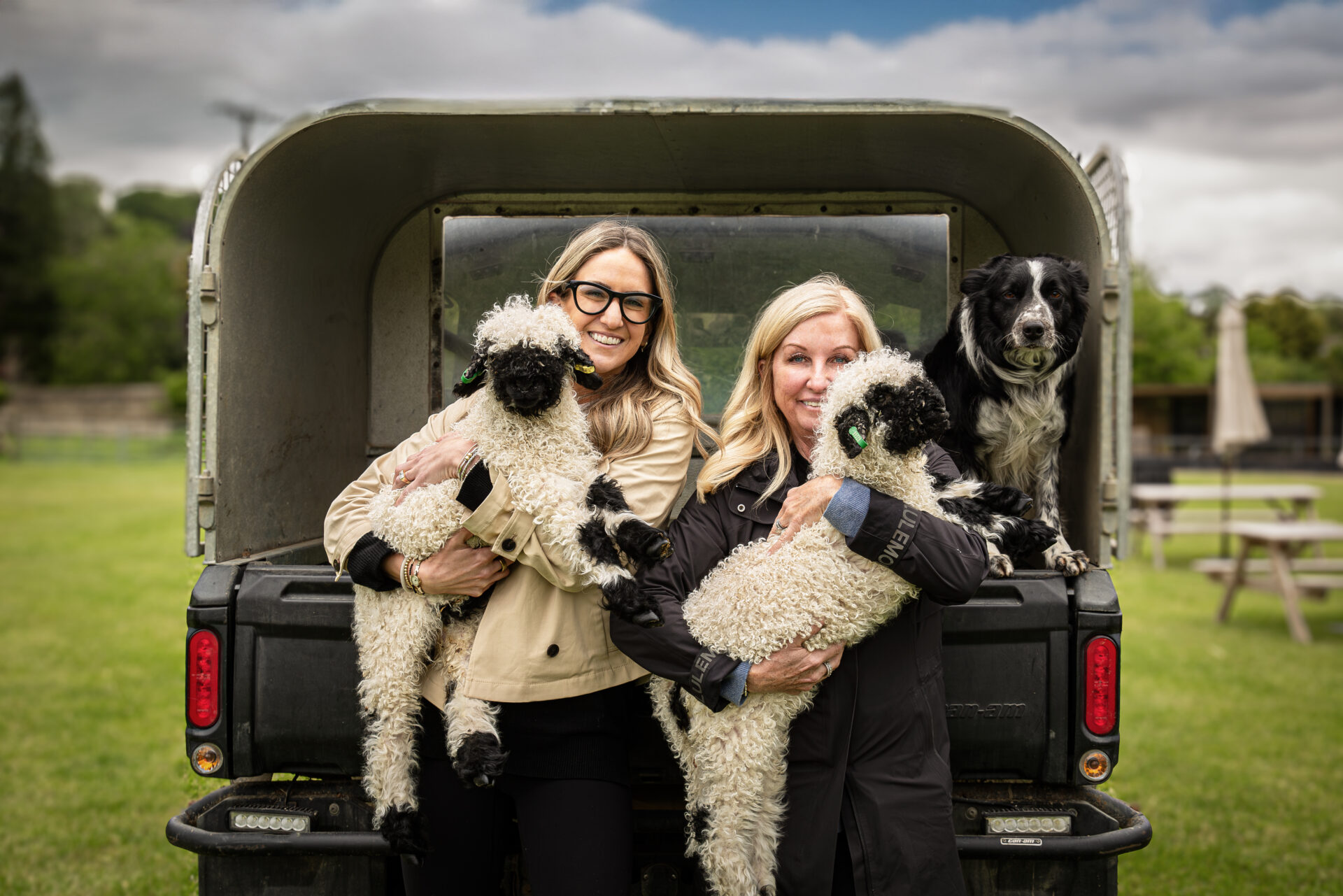 Guests meeting Valais Blacknose sheep during a BLACKLION farm experience in the Cotswolds
